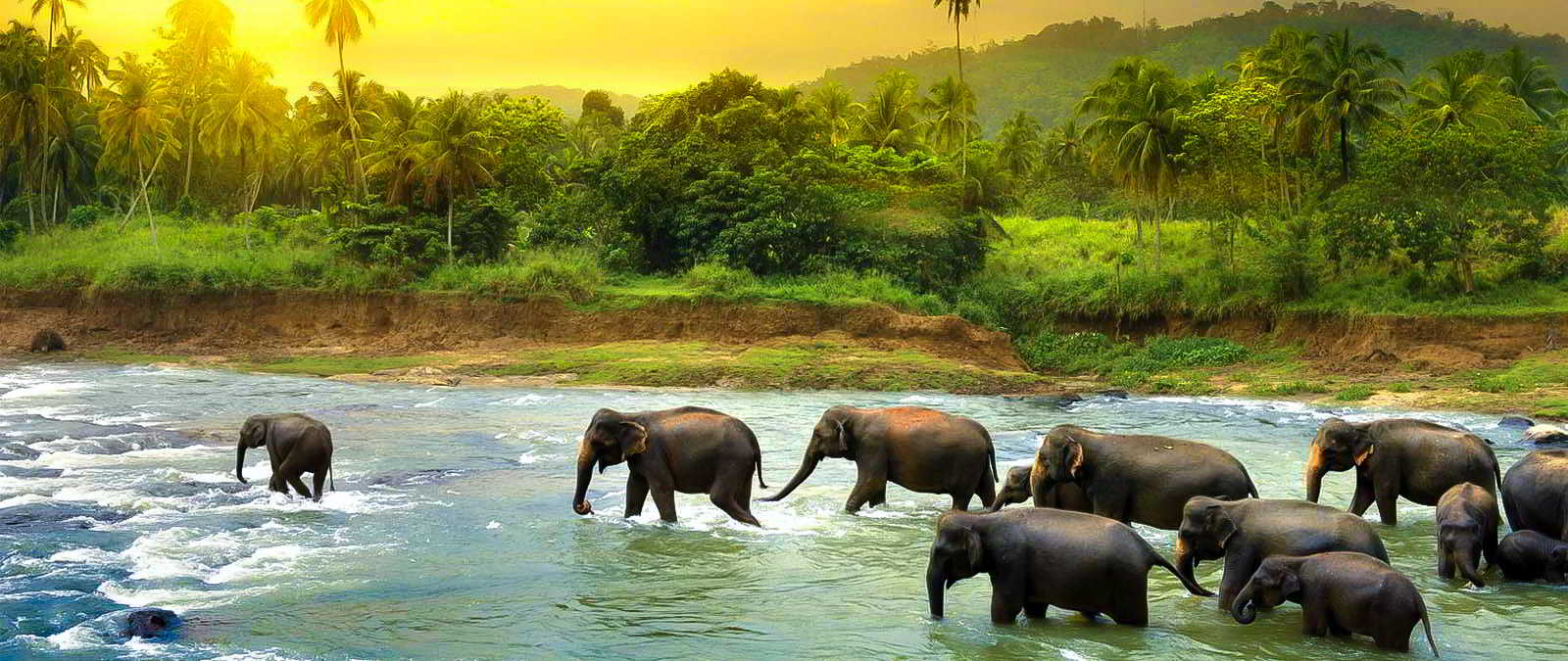 Sri Lanka Package